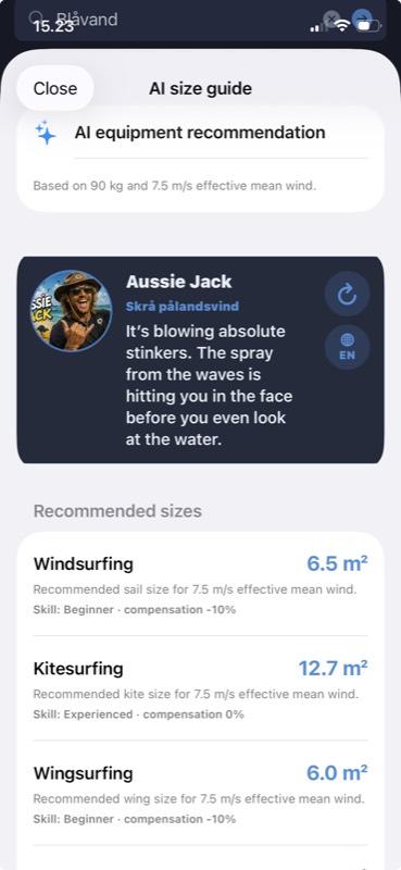 AI size guide recommending sail, kite and wing sizes